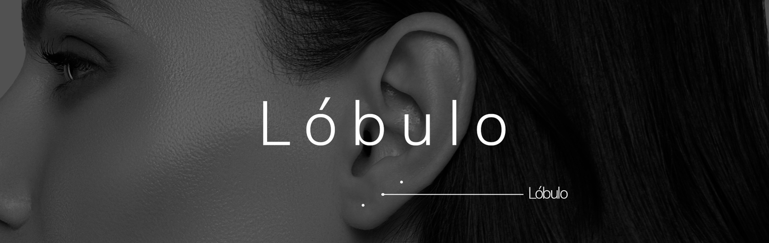 Lóbulo