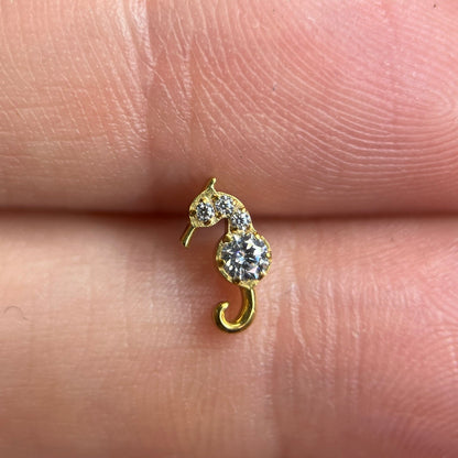 Piercing Seahorse PVD Dourado - Titânio