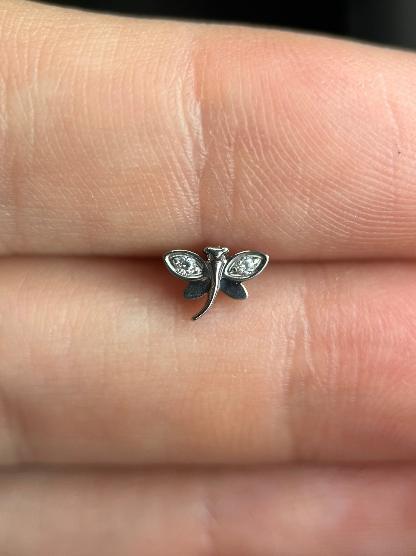 Piercing Libelle- Titânio