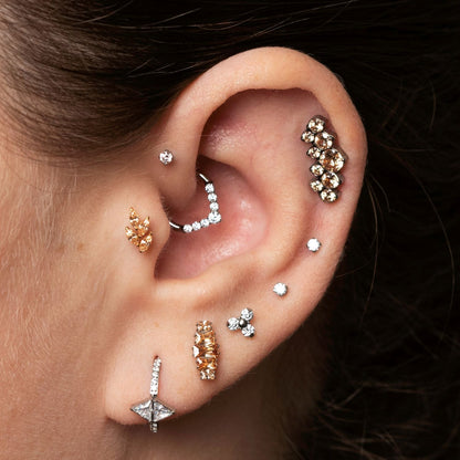 Piercing Argola Alexandra - Titânio