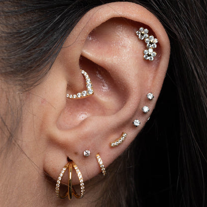 Piercing Daisys PVD Dourado - Titânio