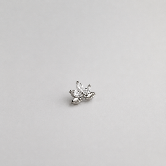 Piercing Arabesco - Titânio