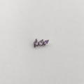 Piercing Tri Navet Roxo - Titânio