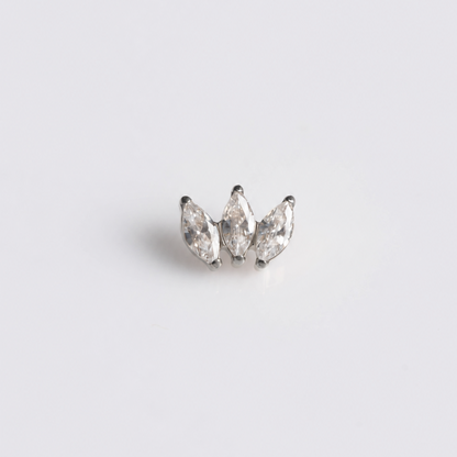 Piercing Fever - Titânio
