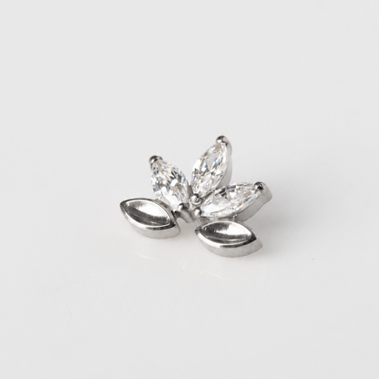 Piercing Arabesco - Titânio