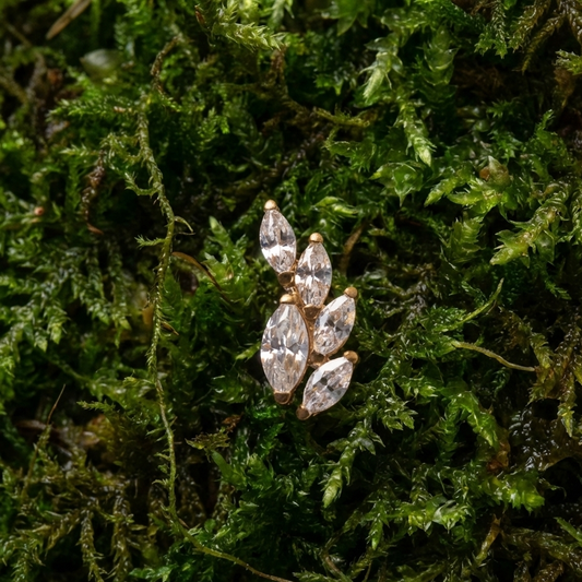 Piercing Lumen Ivy Dourado PVD – Titânio