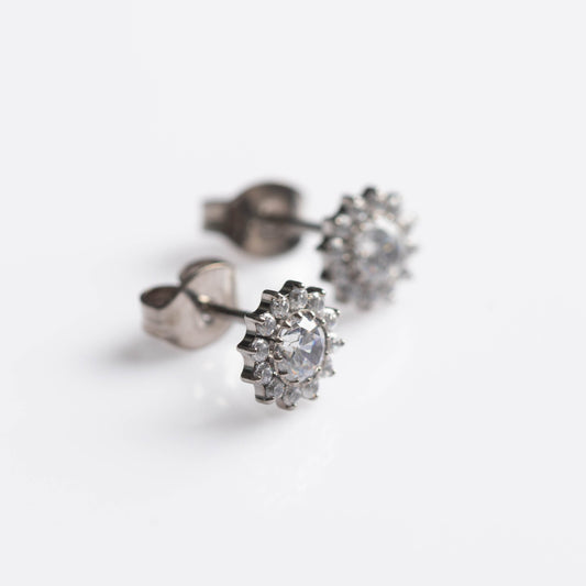 Brinco Halo Royale (par) - Titânio