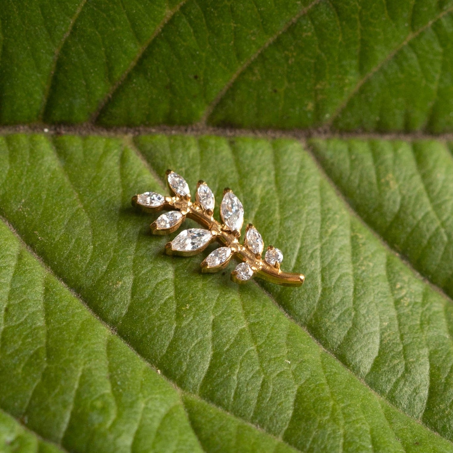 Piercing Sylva Bloom Dourado PVD – Titânio