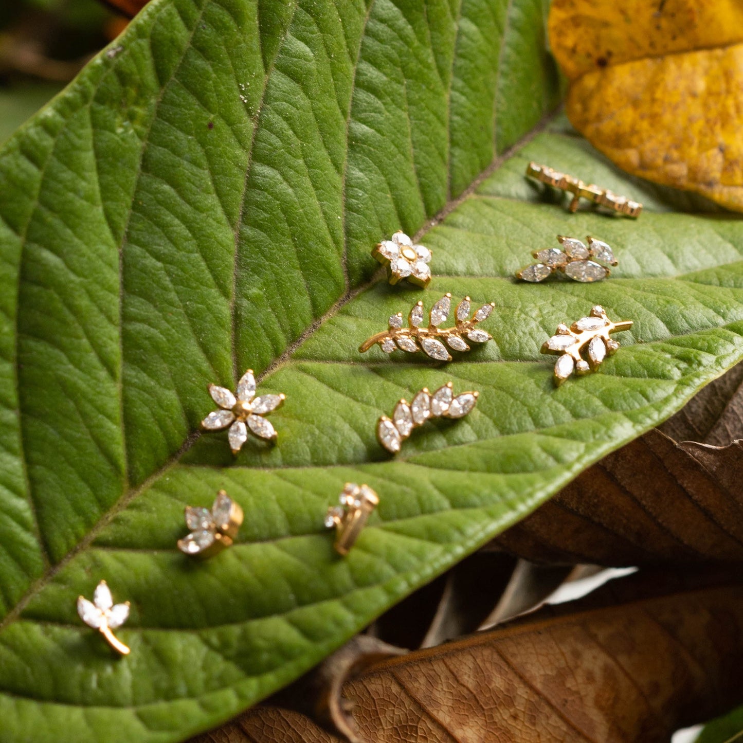 Piercing Sylva Bloom Dourado PVD – Titânio