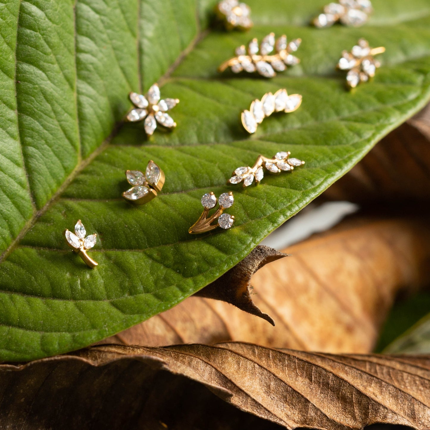 Piercing Lumen Sprout Dourado PVD – Titânio