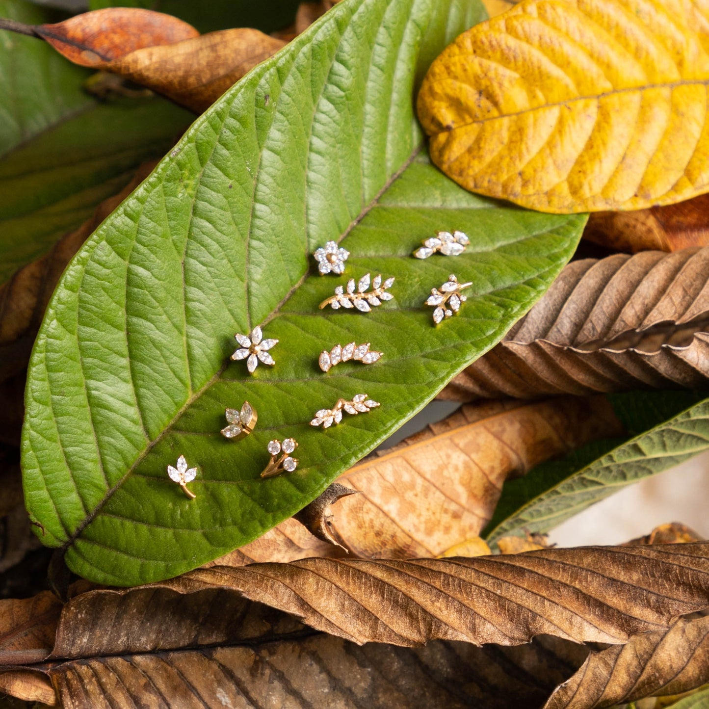 Piercing Floris Marquise Dourado PVD - Titânio