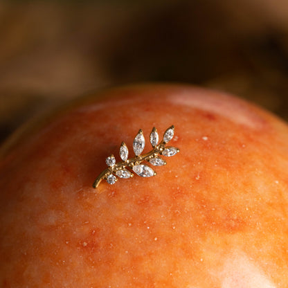 Piercing Sylva Bloom Dourado PVD – Titânio