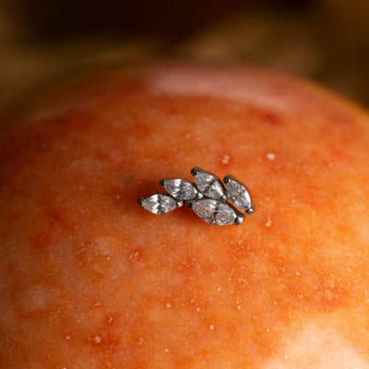 Piercing Lumen Ivy – Titânio