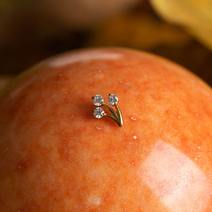 Piercing Lumen Sprout Dourado PVD – Titânio