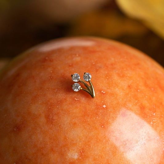 Piercing Lumen Sprout Dourado PVD – Titânio