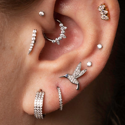 Piercing Argola Zaya - Titânio