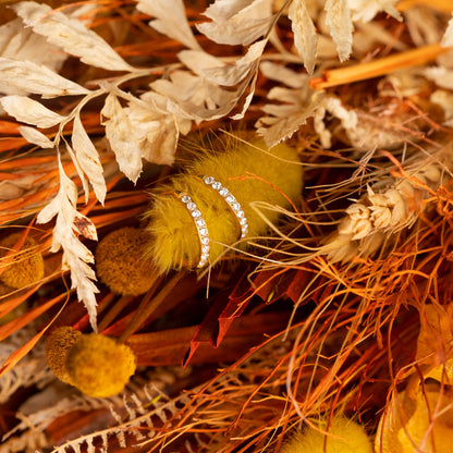 Brinco Argola Cravejada Dourada PVD - Titânio