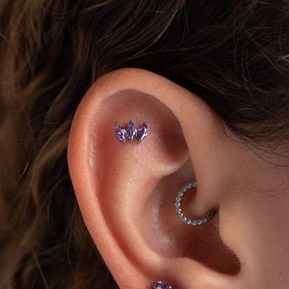 Piercing Fever Roxo - Titânio