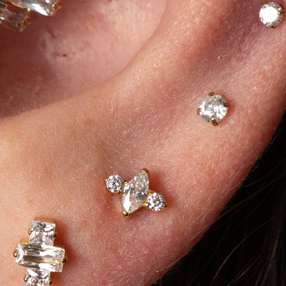 Piercing Auris Bloom – Titânio