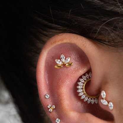 Piercing Arabesco - Titânio