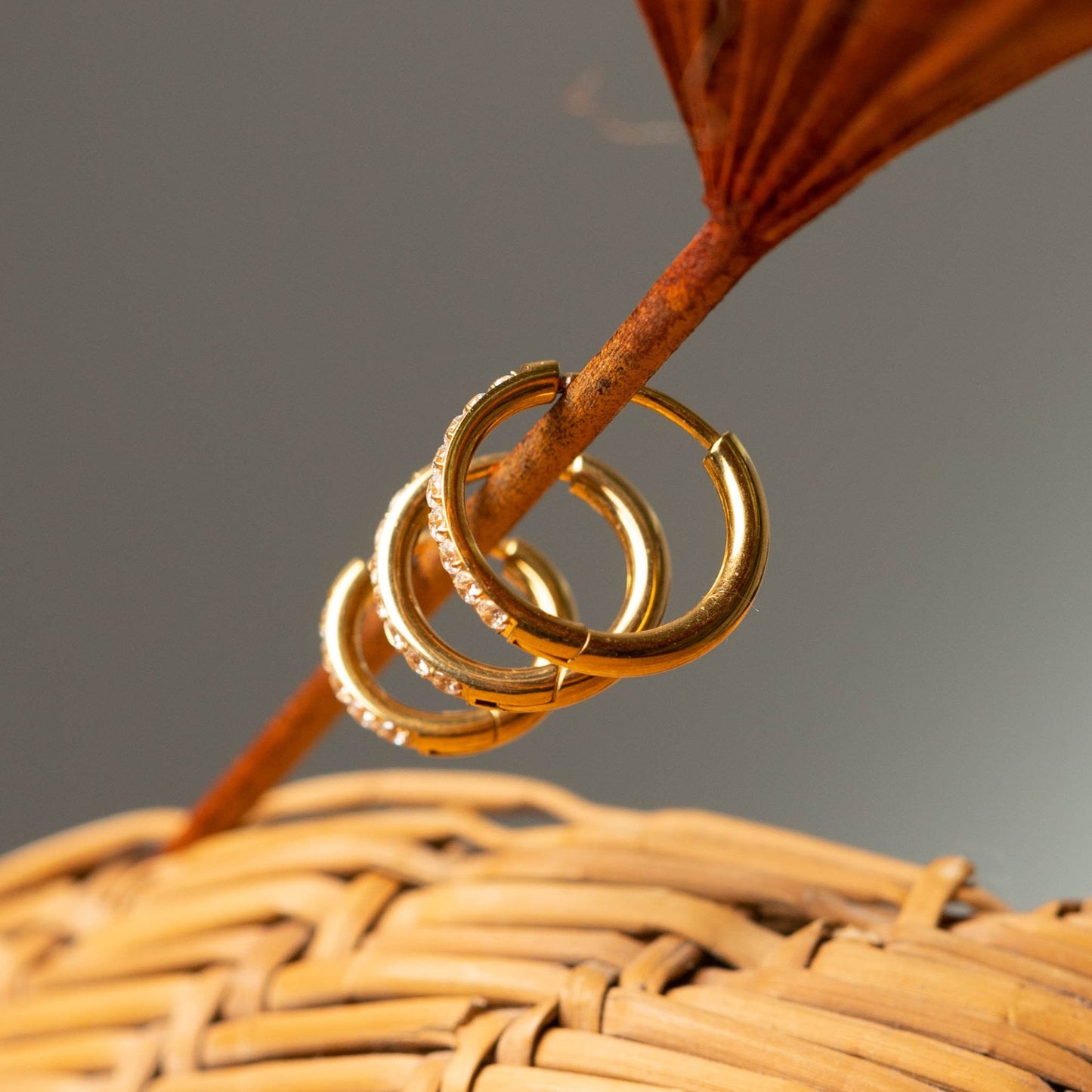 Brinco Argola Cravejada Dourada PVD - Titânio