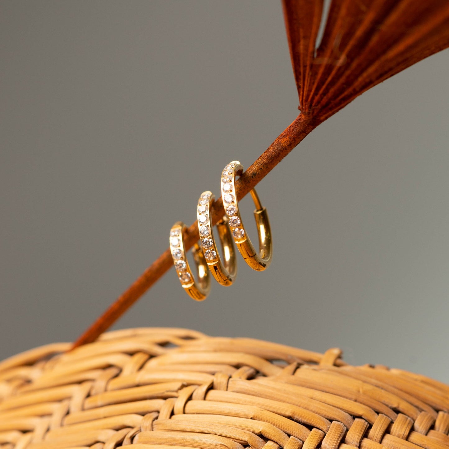 Brinco Argola Cravejada Dourada PVD - Titânio