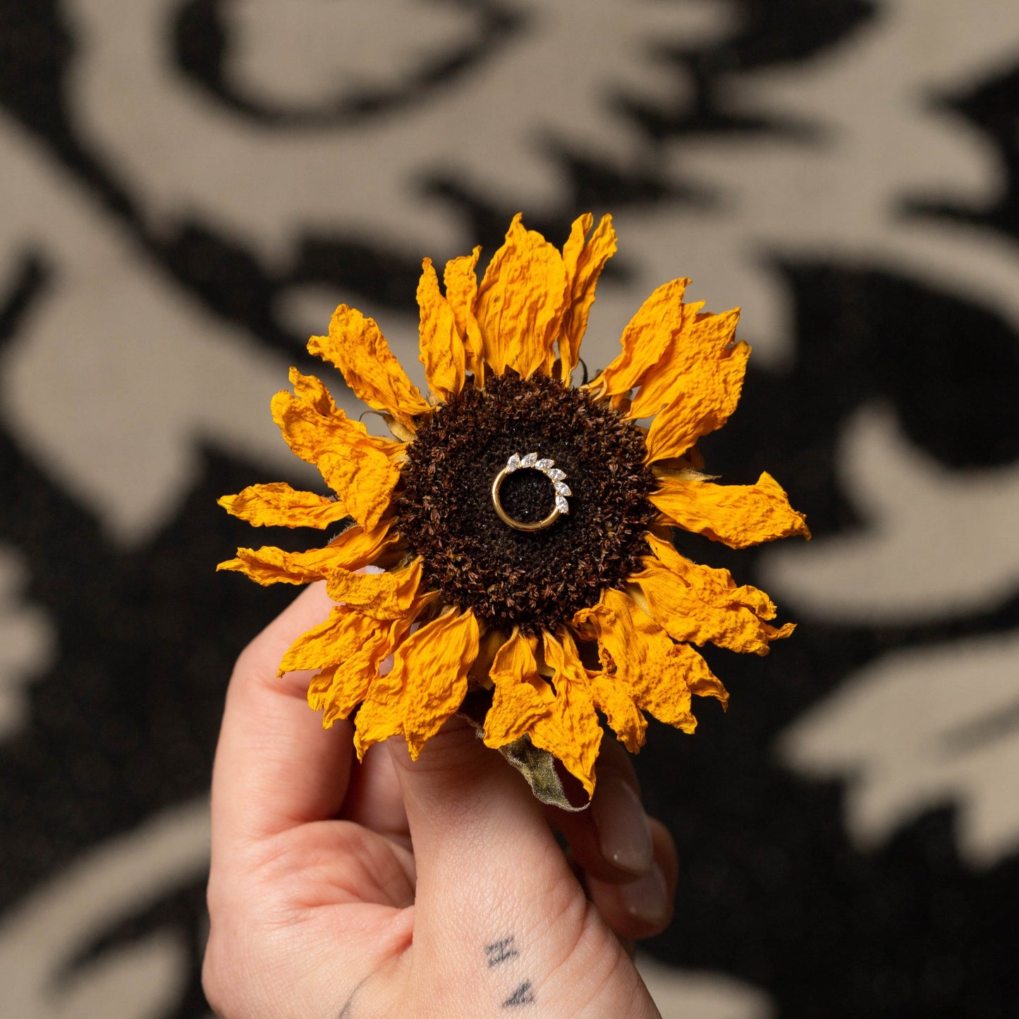 Argola Lumen Crescent Dourado PVD - Titânio