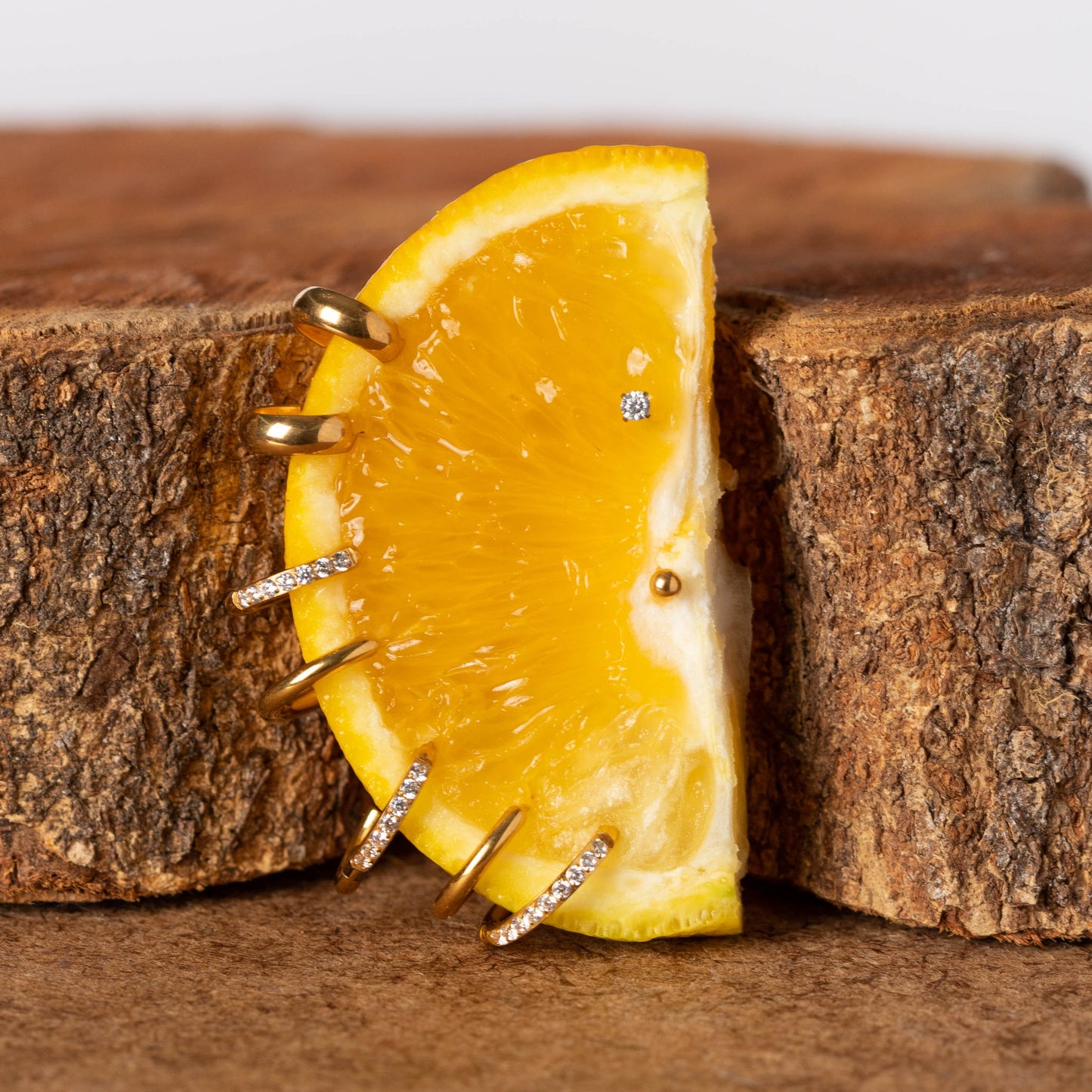 Brinco Argola Lisa Dourada PVD - Titânio