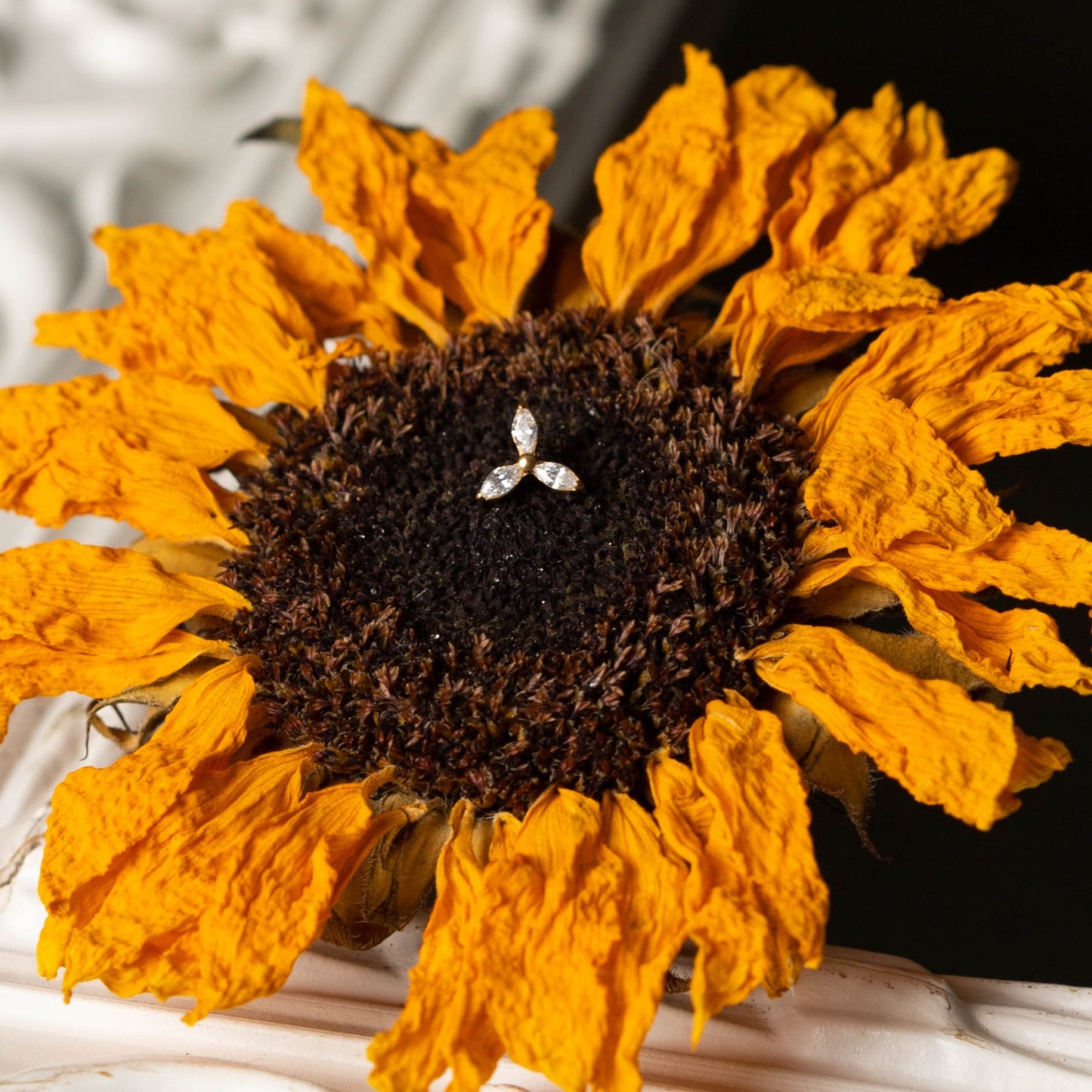 Piercing Tria Lumi Dourado PVD – Titânio