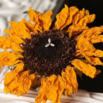 Piercing Tria Lumi Dourado PVD – Titânio