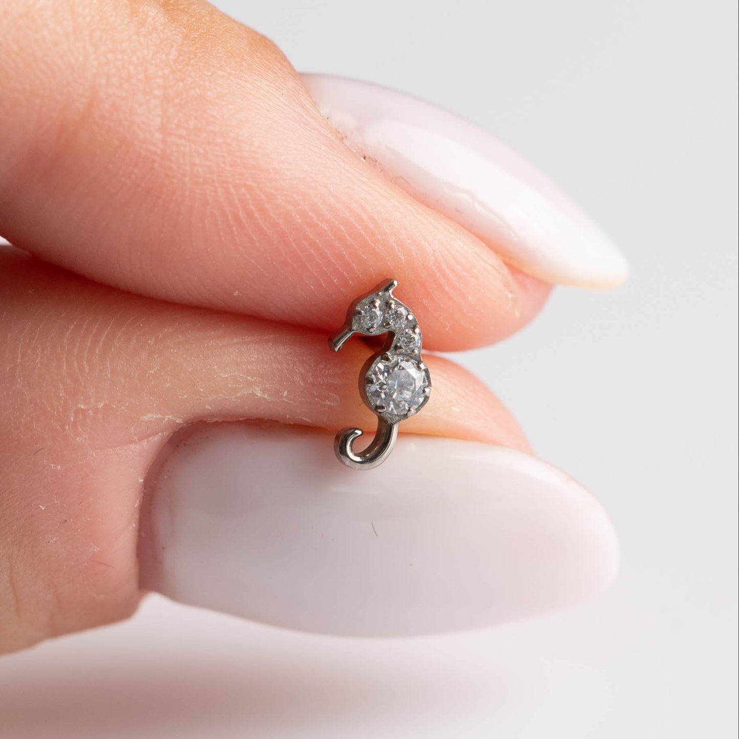 Piercing Seahorse - Titânio