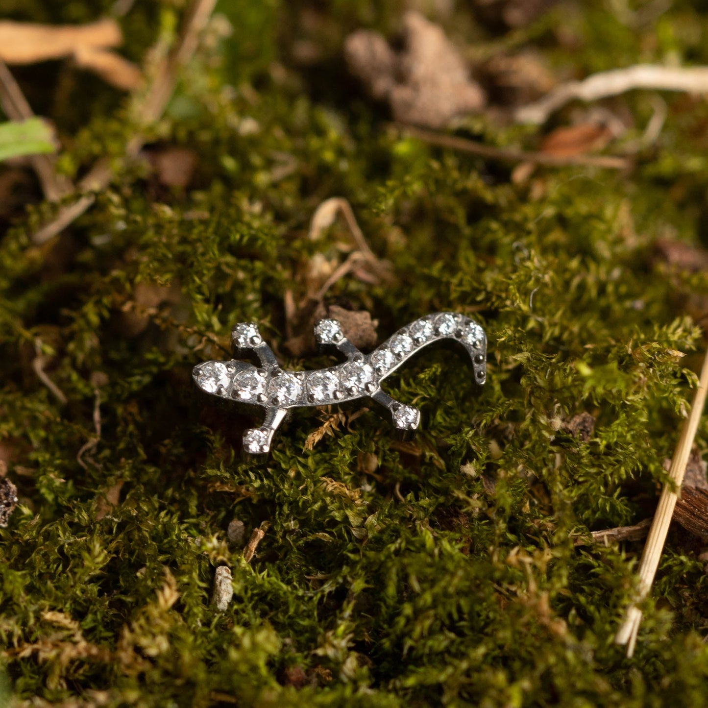 Piercing Lizard - Titânio