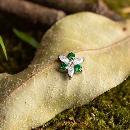 Piercing Jade Grapes - Titânio