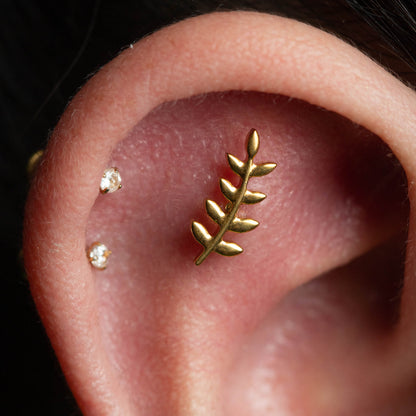 Piercing Leafy PVD Dourado - Titânio