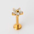 Piercing Star Flower PVD Dourado - Titânio
