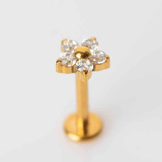 Piercing Star Flower PVD Dourado - Titânio
