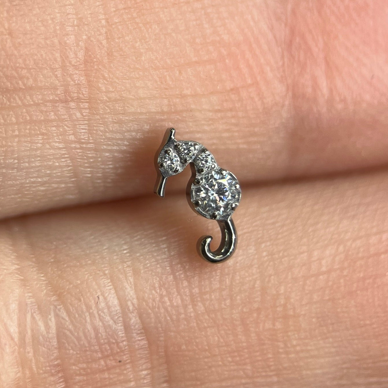 Piercing Cavalo Marinho- Titânio