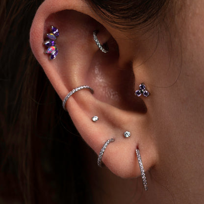 Piercing Grape Roxo- Titânio